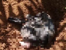 Geger, Warga Pasirtapos Temukan Mayat Bayi Dalam Pelastik