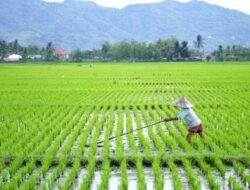 Ketahanan Pangan di Provinsi Banten: Menjaga Ketersediaan Pangan Ditengah Tantangan Ekonomi dan Sosial