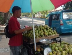 Pedagang Musiman di Lebak Raup Keuntungan