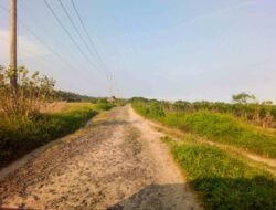 Jalan Akses Menuju Situs Budaya Mengalami Kerusakan