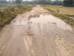 Jalan Kabupaten Pandeglang Letak di Kampung Ciomas Desa Tegal Papak Kecamatan Pagelaran Rusak Berat