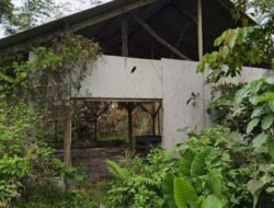 BUMDes Desa Pasindangan Polemik, King Naga LSM GMBI Lebak Minta Klarifikasi