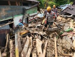 Lagi!!! Aksi Heroik Anjing Pelacak K-9 Korsabhara Baharkam Polri dan Polda Sumut, Berhasil Temukan Jenazah Wanita
