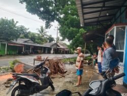 Rawan Tumbang, Warga Minta Pohon Sepanjang Jalan Raya Baksel di Tebang