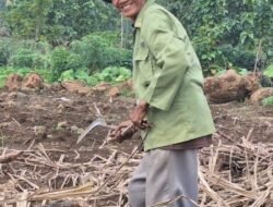 Dorong Kemandirian Energi, Pemerintah Genjot Hilirisasi Perkebunan Jadi Bioenergi