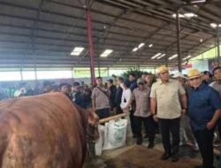 Wamentan Ingatkan Jangan Potong Sapi Betina, Muzani Dorong Kontes Jadi Simpul Pasar