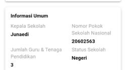 Diduga Penempatan Guru di SDN 1 Sukasenang Perlu Dikaji Ulang