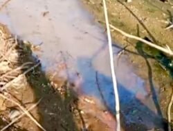 Dugaan Kebocoran Limbah PT CPI Cemari Sungai Ciujung Dikeluhkan Warga