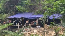 Aktivitas Tambang Emas di Blok Cihejo Bogor Disorot, Kawasan TNGHS Jadi Perhatian