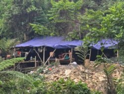 Aktivitas Tambang Emas di Blok Cihejo Bogor Disorot, Kawasan TNGHS Jadi Perhatian